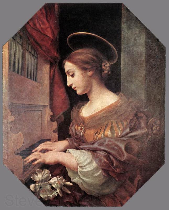 DOLCI, Carlo St Cecilia at the Organ dfg Spain oil painting art
